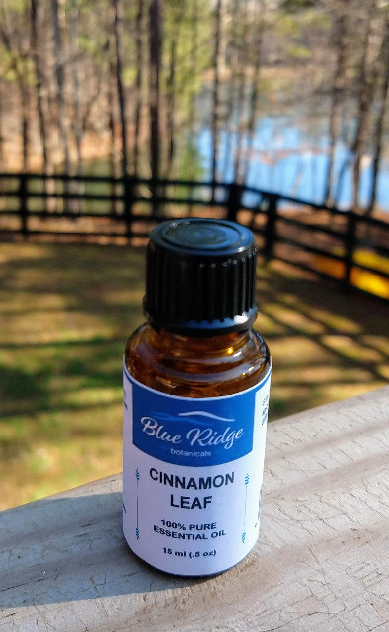 Cinnamon Leaf Essential Oil