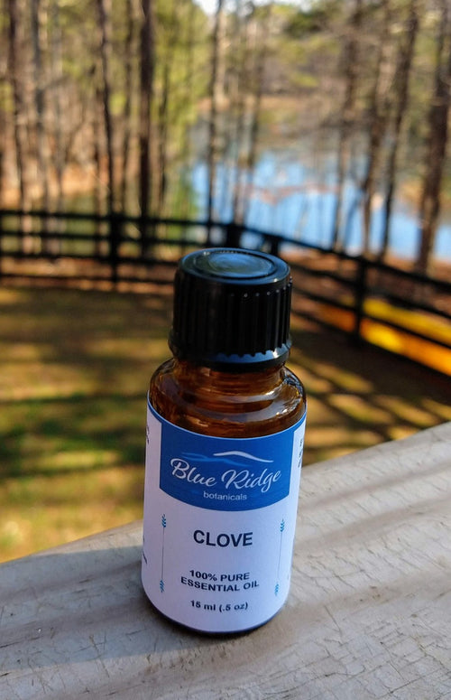 Clove Bud Essential Oil