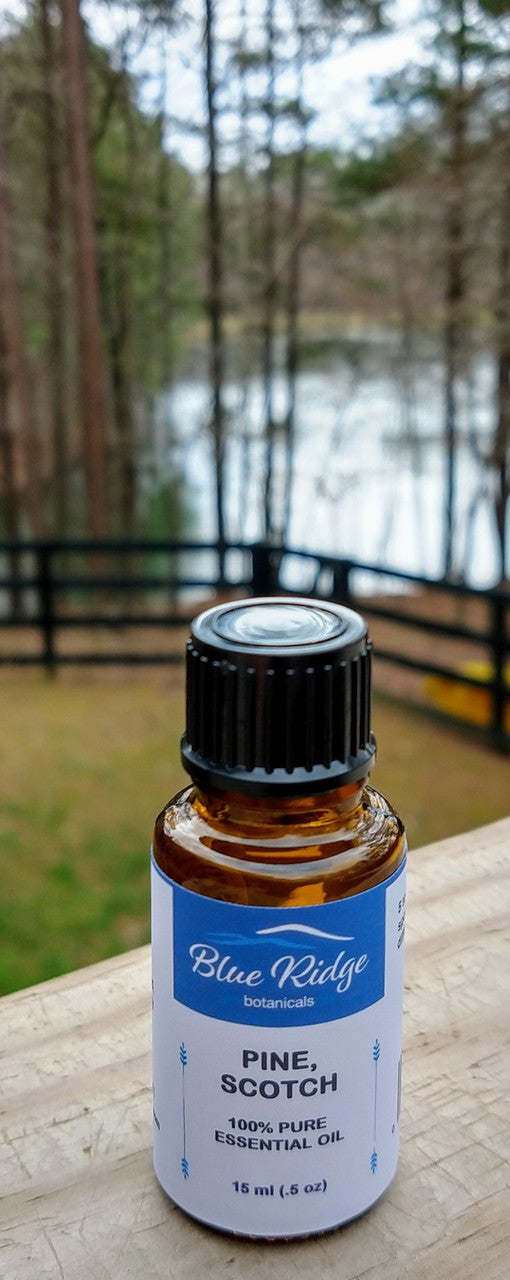 Pine, Scotch Essential Oil